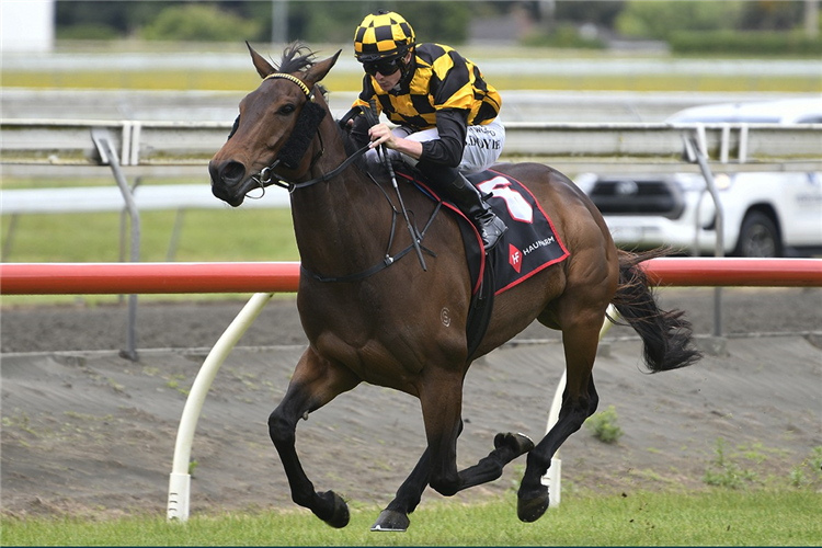 LUBERON winning the HAUNUI FARM COUNTIES BOWL