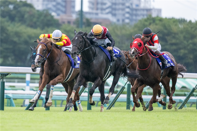 LUGAL (middle) winning the THE SPRINTERS STAKES