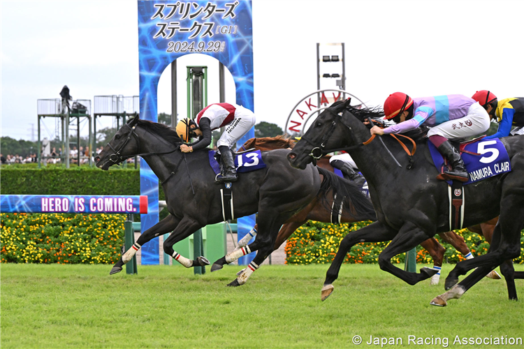 LUGAL winning the Sprinters Stakes at Nakayama in Japan.