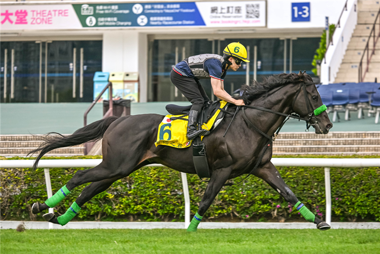 Lugal stretches out at Sha Tin.