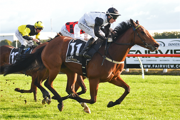 LUX LIBERTAS winning the WAIKATO CONSTRUCTION