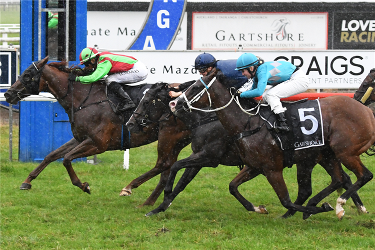 MACTHIEF winning the TRITON PACIFIC OWENS PLATE