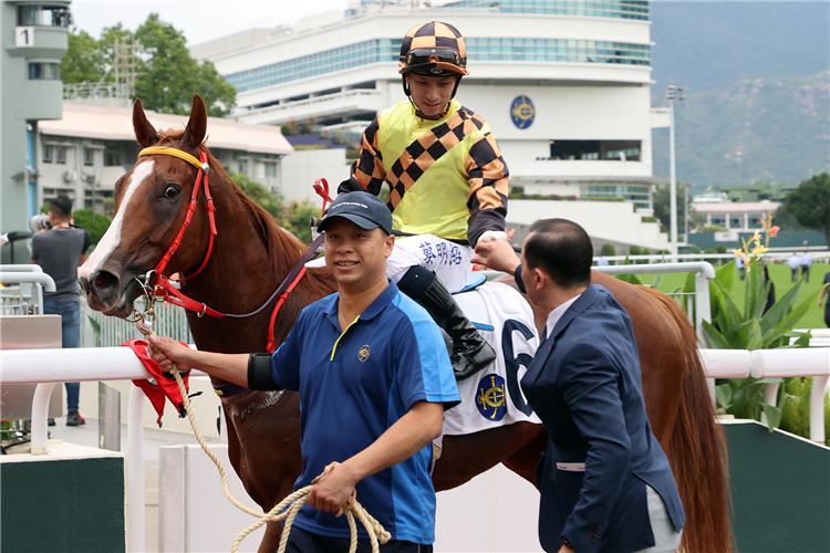 MAGIC CONTROL winning the PANASONIC JAPAN MADE SYSTEM KITCHEN HANDICAP