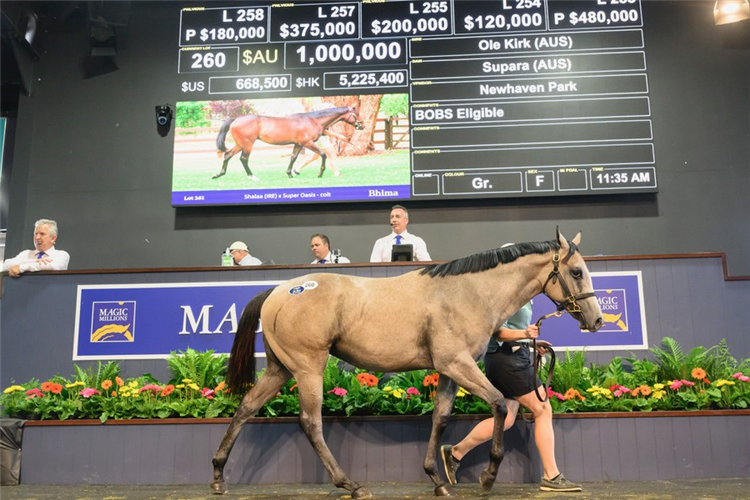 The Ole Kirk filly Robbie Griffiths paid $1m for.