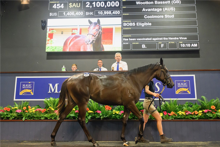 The $2.1m daughter of Wootton Bassett and Avantage.