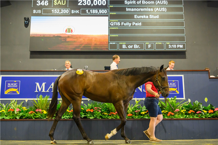 The sister to Chinny Boom topped the March Yearling Sale.