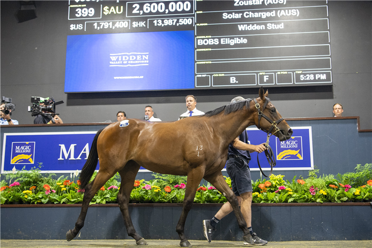 <p>Clean Energy as a yearling at Magic Millions.</p>
