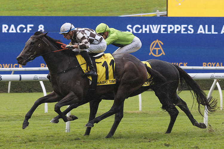 MAGIC TIME winning the SCHWEPPES ALL AGED STAKES