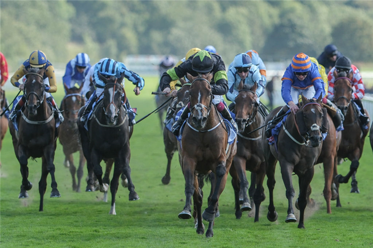 MAGICAL ZOE winning the Ebor Handicap at York in England.