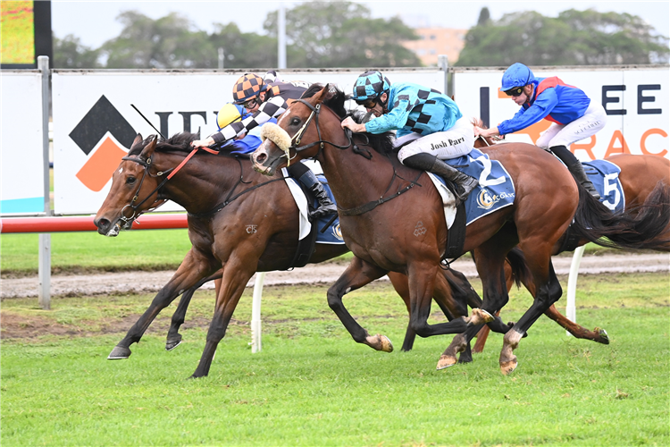 MAGNASPIN winning the The Coast at Newcastle in Australia.