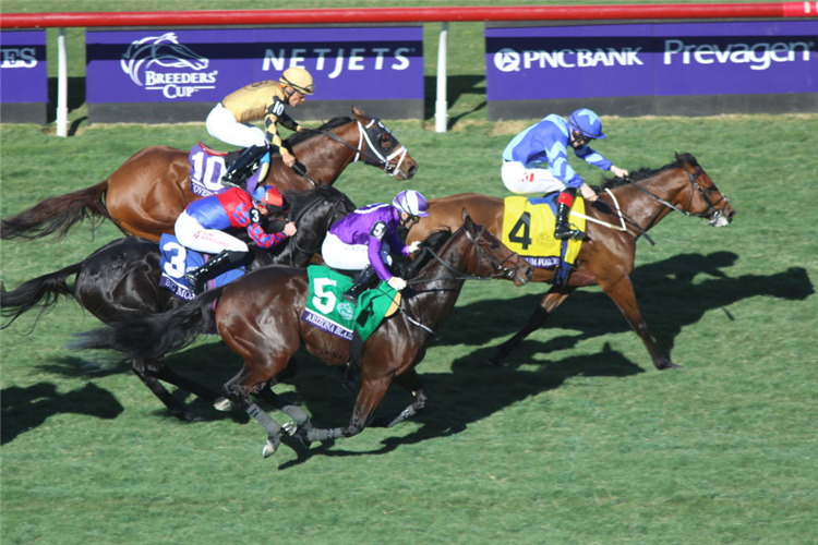 MAGNUM FORCE winning the Breeders Cup Juvinile Turf Sprint at Del Mar, California.