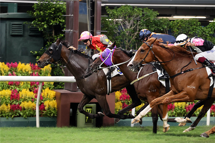 MAJESTIC KNIGHT winning the BRIAR HANDICAP