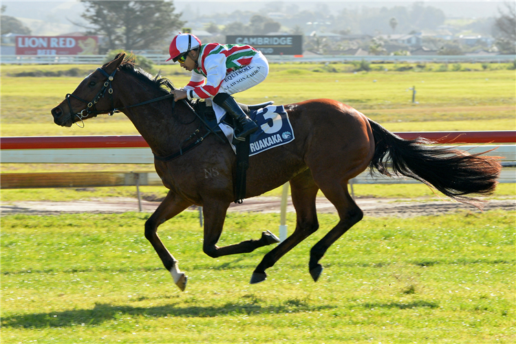 MALT TIME winning the ITM/GIB SPRINTERS' WINTER CHAMPIONSHIP FINAL