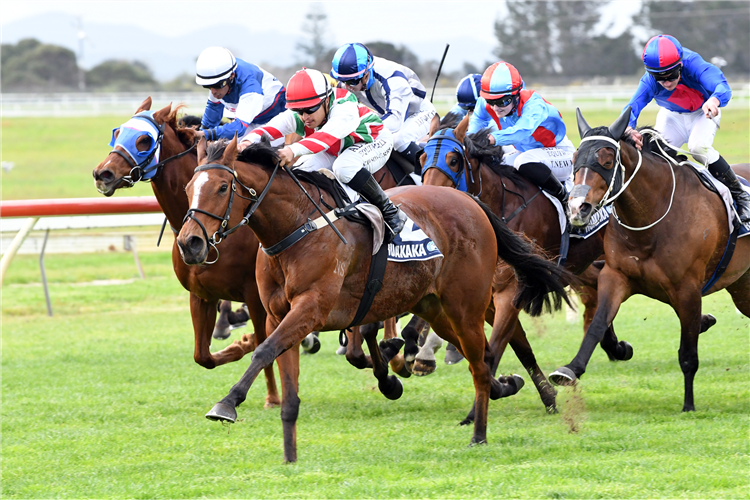 MALT TIME winning the HARCOURTS BREAM BAY