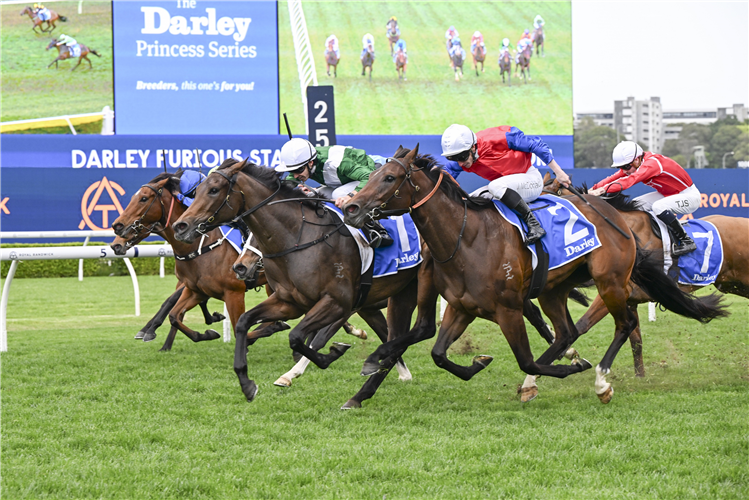 MANAAL winning the DARLEY FURIOUS STAKES at Randwick in Australia.