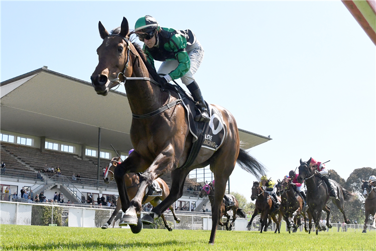 MAROTIRI MOLLY winning the AR PAINTERS HANDICAP