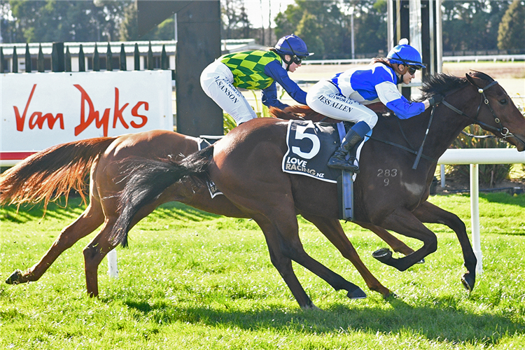 MARTELL winning the ARAWA PARK HOTEL ROTORUA