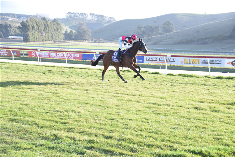 MASTER MARKO winning the CROMBIE & PRICE LTD OAMARU CUP