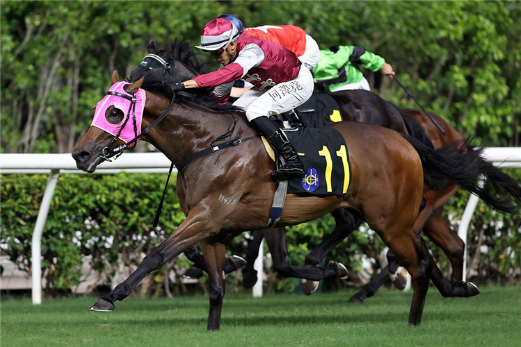 MATSU VICTOR winning the THE COMMUNITY CHEST CUP (HANDICAP)