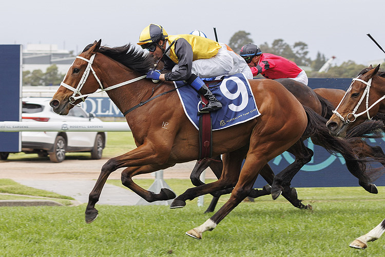 MEDATSU winning the VALE JOHN NICHOLSON HANDICAP