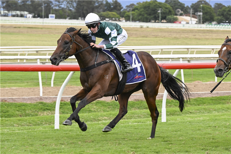 Media World winning the ST JOHNS PARK BOWLING CLUB 2YO CLARENDON STAKES at Hawkesbury in Australia.