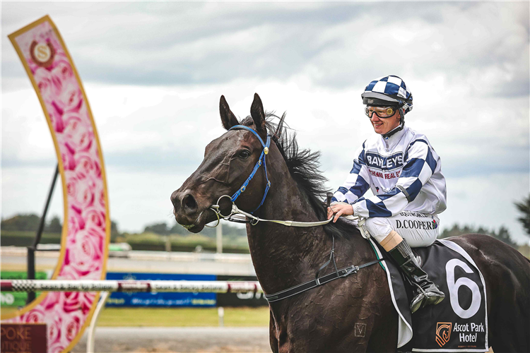 MEDINA winning the BAYLEYS SOUTHLAND REAL ESTATE HANDICAP