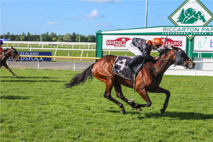 MEHZEBEEN winning the MARTIN COLLINS 161ST NEW ZEALAND CUP