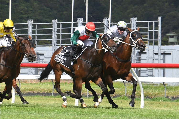 Mercurial edges out Express Yourself to claim Group One glory in the Gr.1 JR & N Berkett Telegraph (1200m) at Trentham.