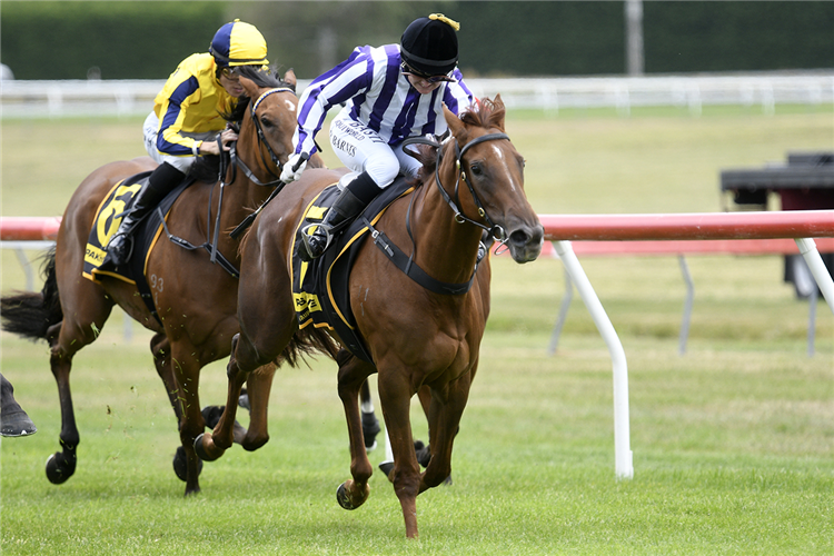 MID OCEAN winning the TWO MILE BAY SAILING CLUB