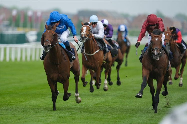 MIDDLE EARTH (maroon cap) winning the Aston Park Stakes at Newbury in England.