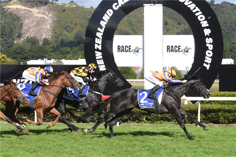 MOVE TO STRIKE winning the COURTESY FORD MANAWATU SIRES' PRODUCE STAKES