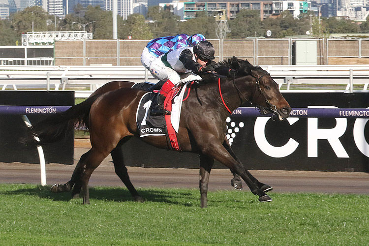 MR BRIGHTSIDE winning the Crown Makybe Diva Stakes