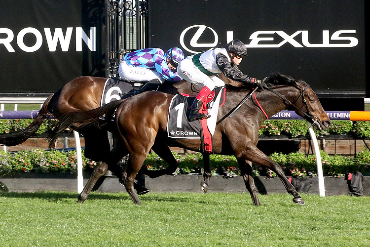 MR BRIGHTSIDE winning the Crown Makybe Diva Stakes