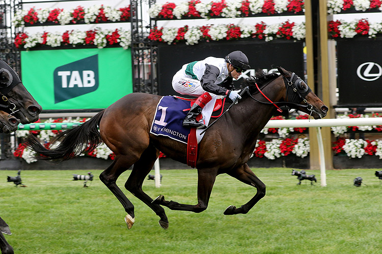 MR BRIGHTSIDE winning the VRC Champions Mile