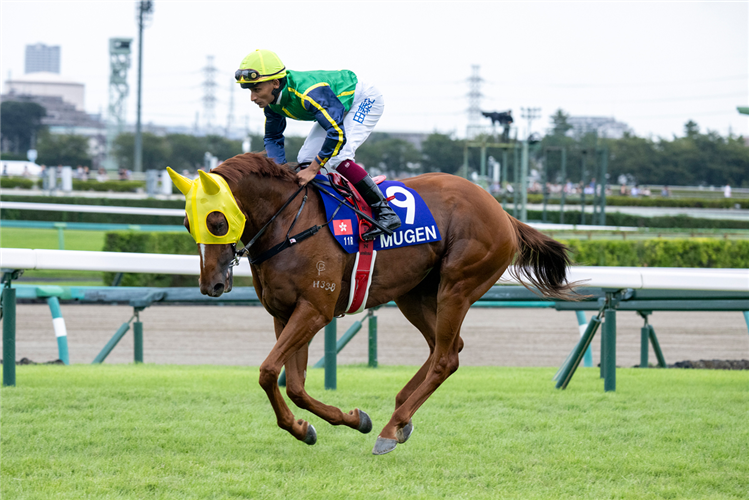 Mugen heads to the starting gates at Nakayama.