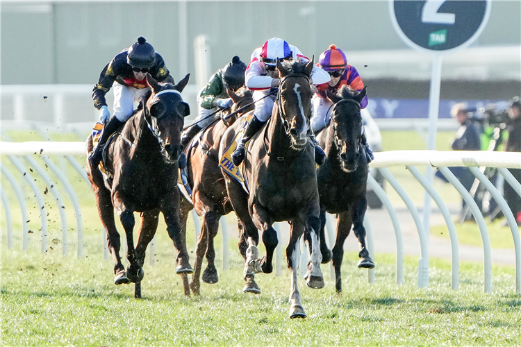 No Apology (black colours) will be looking to go one better than his Warrnambool Cup second placing at Sandown this weekend.