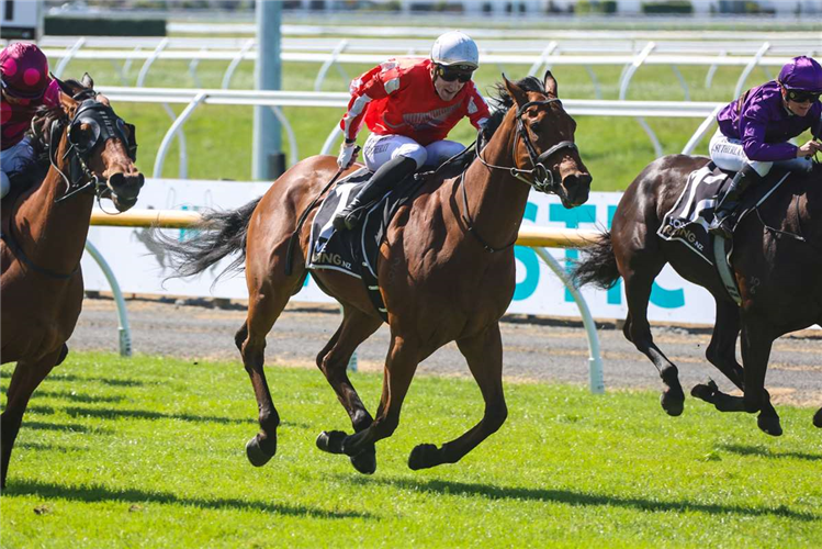 MYSTIC PARK winning the LINDAUER STEWARDS STAKES