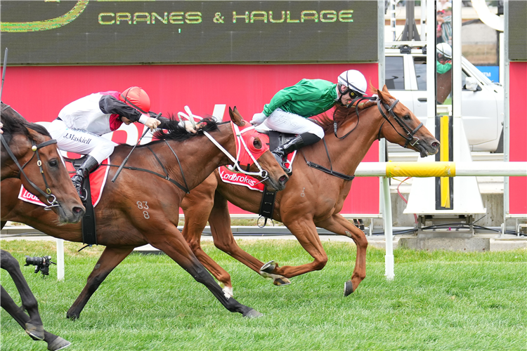 NATION STATE winning the Reed Cranes & Haulage Handicap at Cranbourne in Australia.