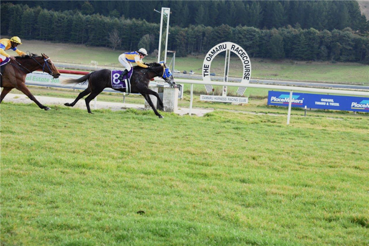 NATURAL MOMENTUM winning the GLENMOA FARMS LTD RIVER PLATE TROPHY