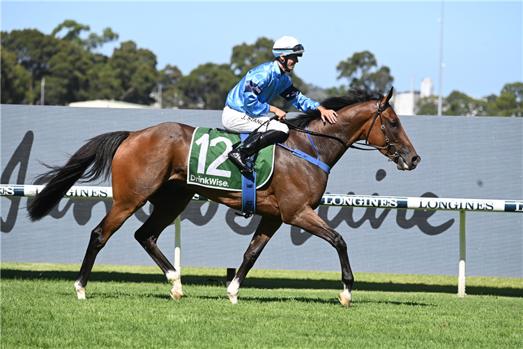 NAVAL COLLEGE winning the JAMES SQUIRE JANUARY CUP at Rosehill in Australia.