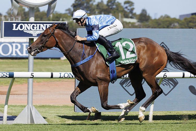NAVAL COLLEGE is looking for three on the bounce in the Australia Day Cup