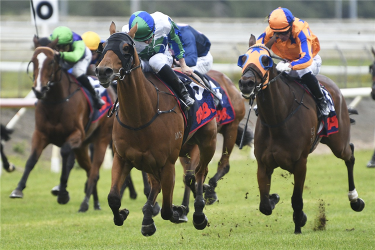 NEREUS winning the TAB COUNTIES CUP