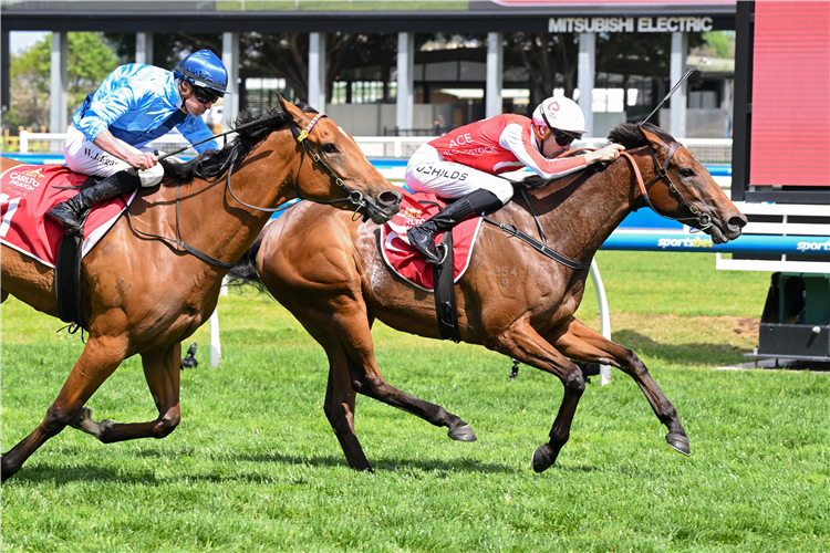 NIANCE winning the Carlton Draught Alinghi Stakes at Caulfield in Australia.