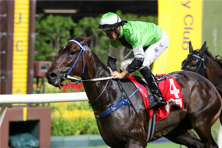 NOBLE PURSUIT winning the CENTRAL HANDICAP