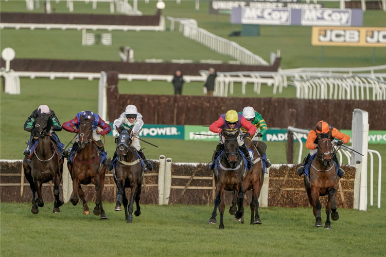NOBLE YEATS (right, orange/brown cap) winning the Cleeve Hurdle at Cheltenham in England.