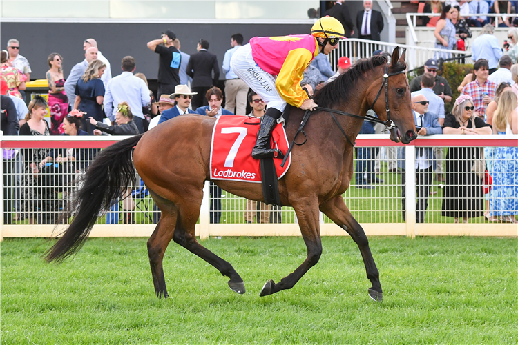 Glenn Ingram liked what he saw from Oh Too Good at the jumpouts.