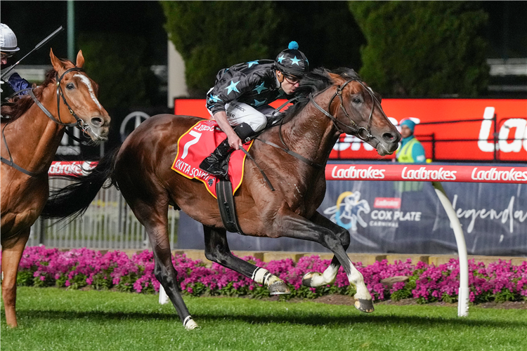 OKITA SOUSHI winning the Ladbrokes Moonee Valley Gold Cup at Moonee Valley in Moonee Ponds, Australia.