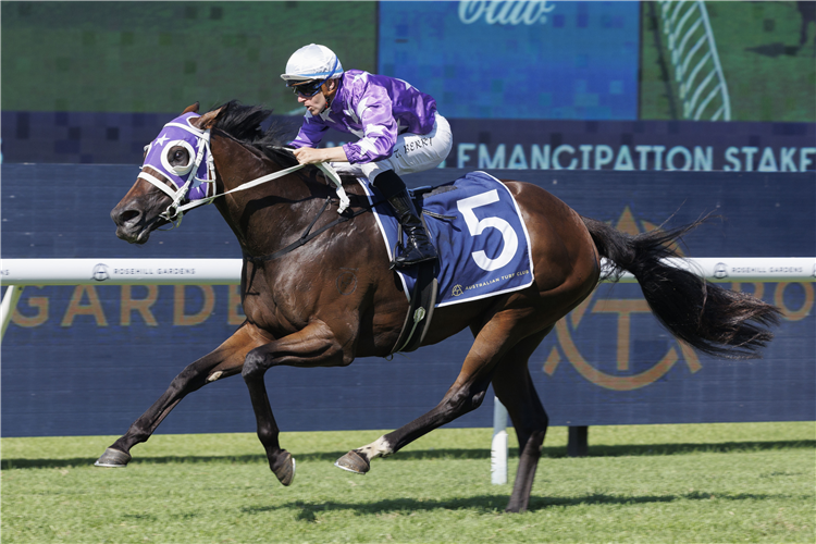OLENTIA winning the Canadian Club Emancipation Stakes at Rosehill in Australia.