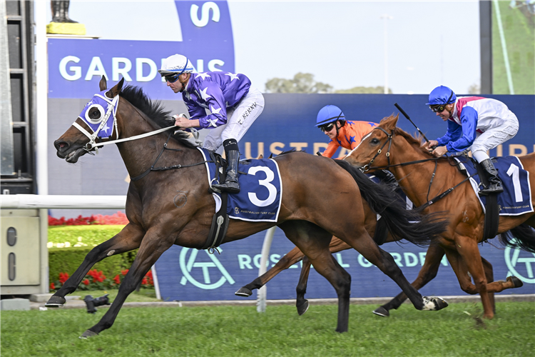 OLENTIA winning the THE NIVISON at Rosehill in Australia.