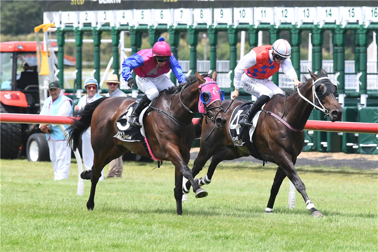 OPAWA JACK (outside) winning the TAYLOR PROPERTY PLUS